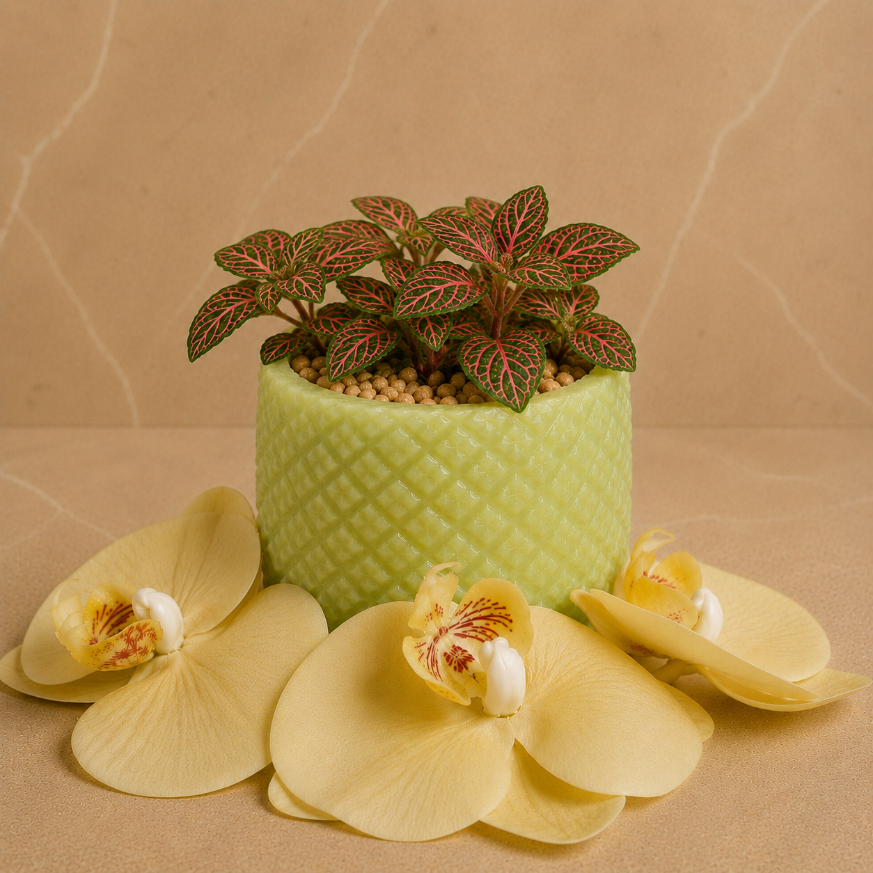 🌿 Verdara Candle
