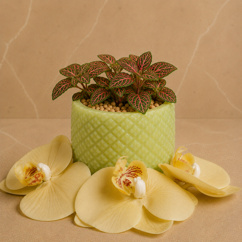🌿 Verdara Candle